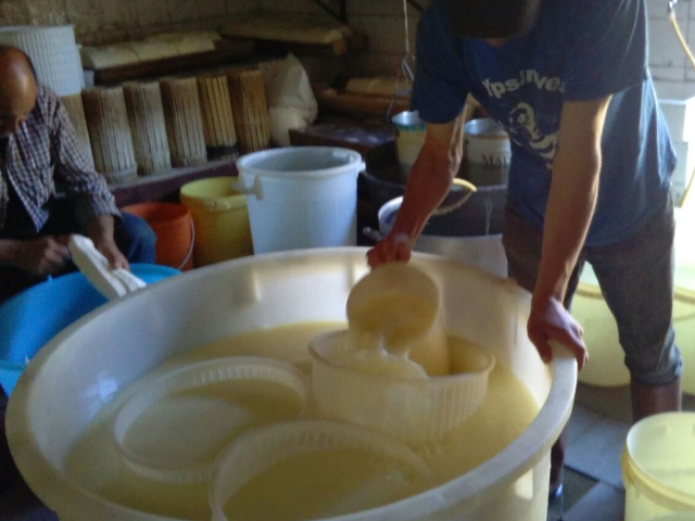 Il pastore è intento alla preparazione del formaggio