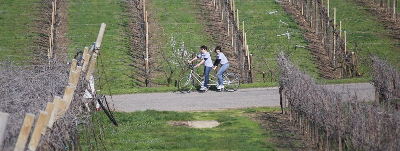 Guida e persona non vedente in tandem tra le campagne del veronese