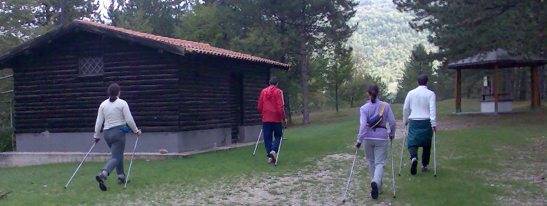 quattro camminatori con i bastoni da nordic walking