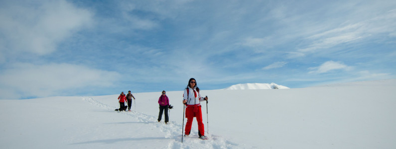 Quattro escursionisti su un altopiano innevato