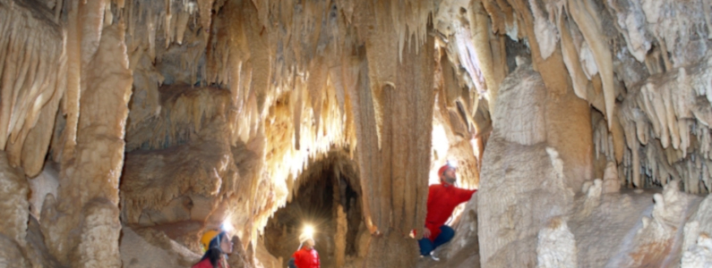Le Guide del Gruppo Puglia Grotte accompagnano i visitatori in occasione della speleonight