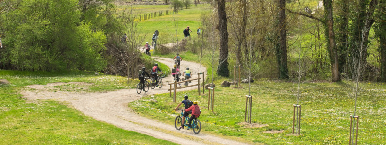 Bici tandem in un sentiero di campagna