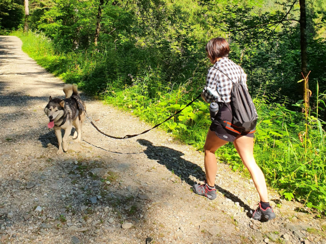 Escursionista con cane al guinzaglio