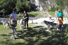 Escursionisti con i cani al guinzaglio