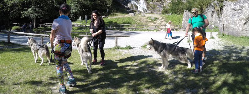 Trekking con cani al guinzaglio