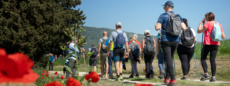 Persone che camminano lungo un sentiero con in primo piano dei papaveri rossi